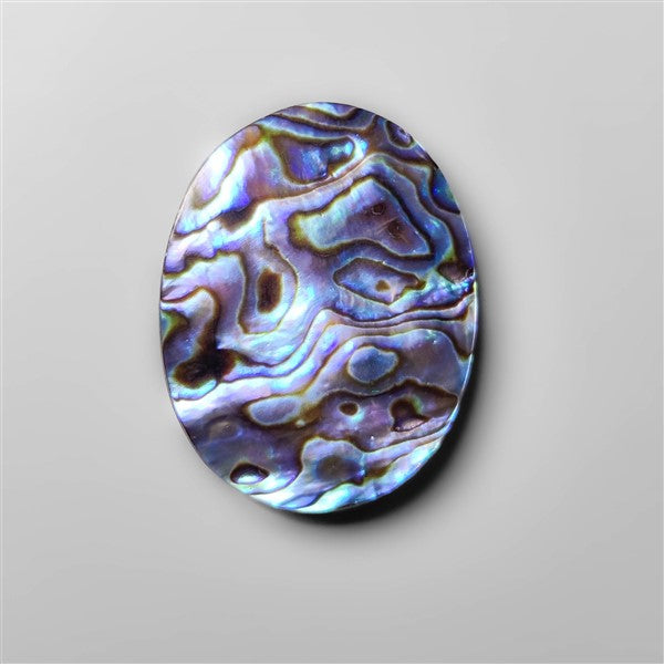 Abalone Shell