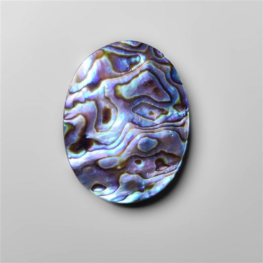 Abalone Shell