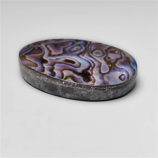 Abalone Shell