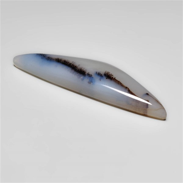 Dendritic Agate