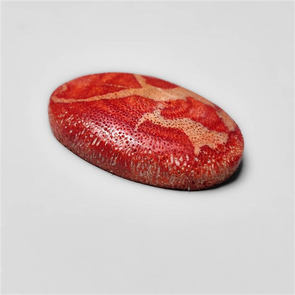 Natural Red Coral