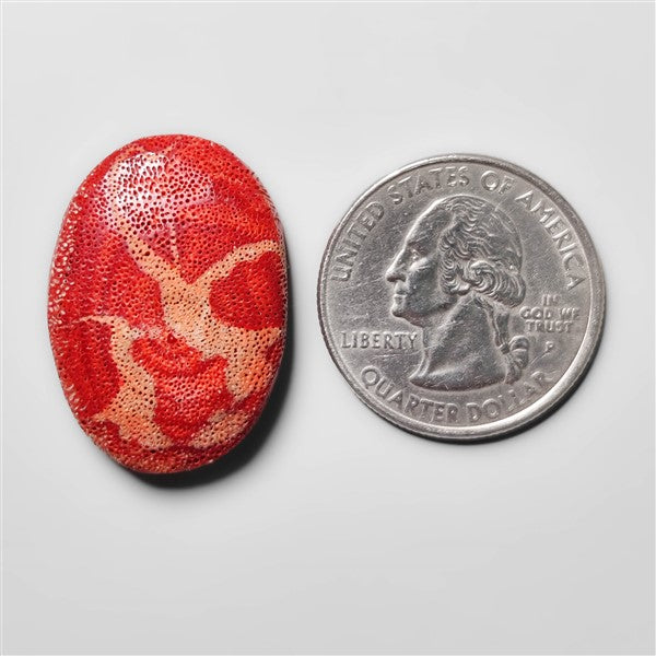 Natural Red Coral
