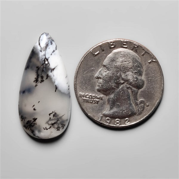 Dendritic Agate