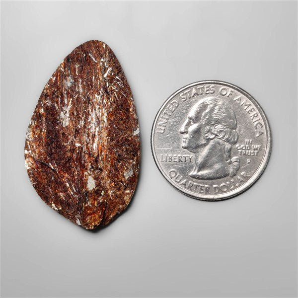 Raw Face Astrophyllite