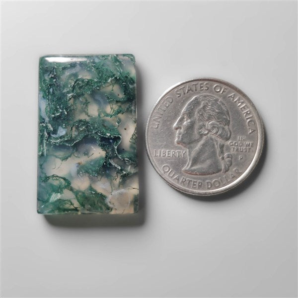 Moss Agate Cabochon