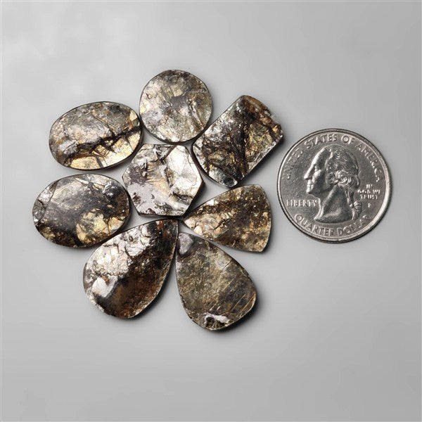 Raw Face Himalayan Crystal Mica Lot