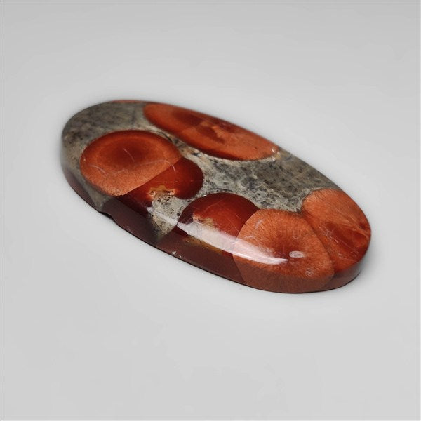 Peanut Wood Obsidian