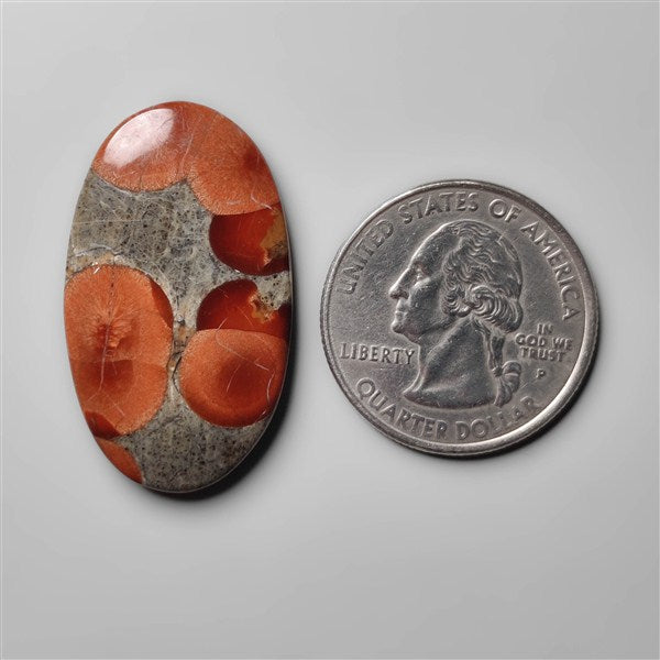 Peanut Wood Obsidian