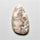 Laguna Lace Agate Cabochon