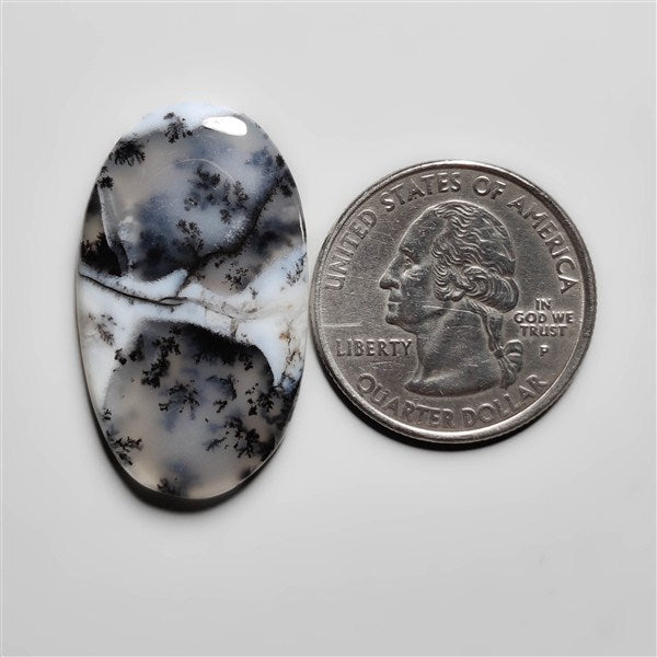 Dendritic Agate