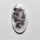 Dendritic Agate