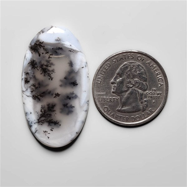 Dendritic Agate