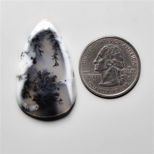 Dendritic Agate