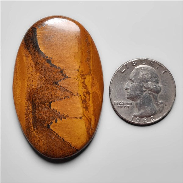 Tiger Eye