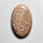 Fossil Coral