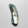 Abalone Shell