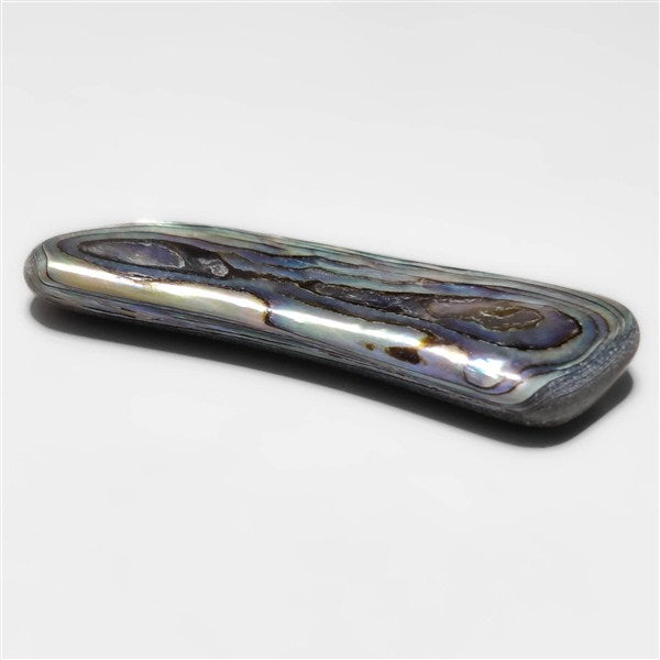 Abalone Shell