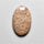 Fossil Coral