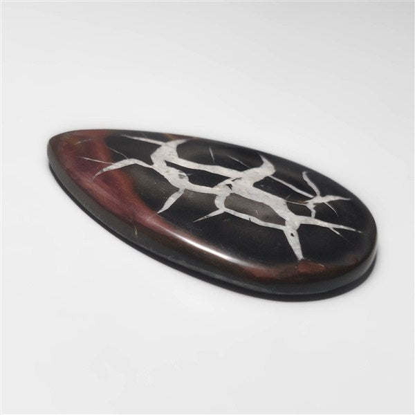 Septarian