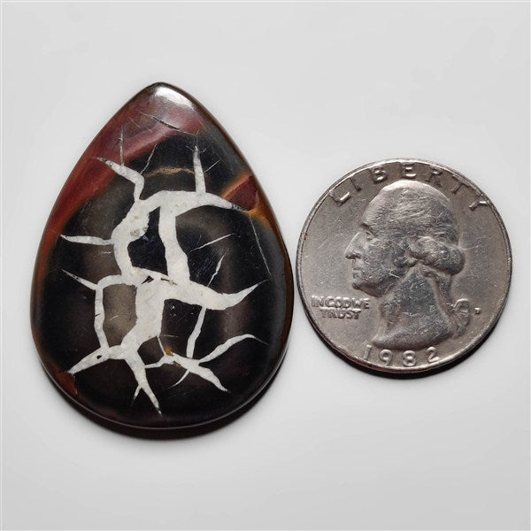 Septarian