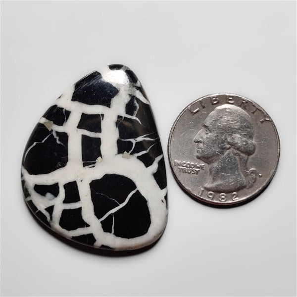 Septarian