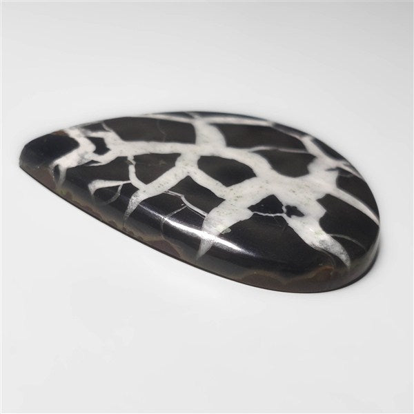 Septarian
