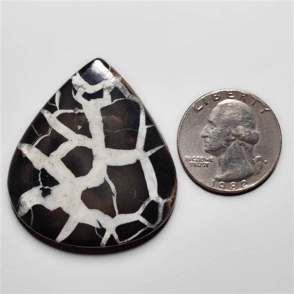 Septarian