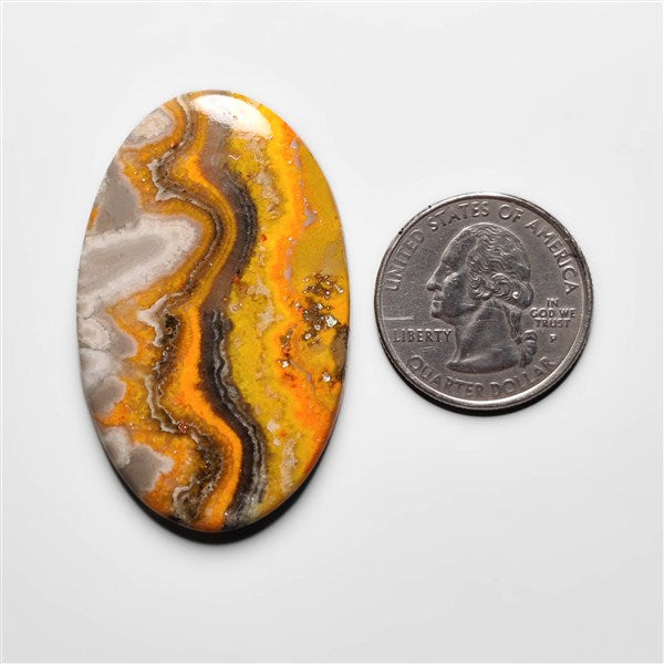 Bumble Bee Jasper