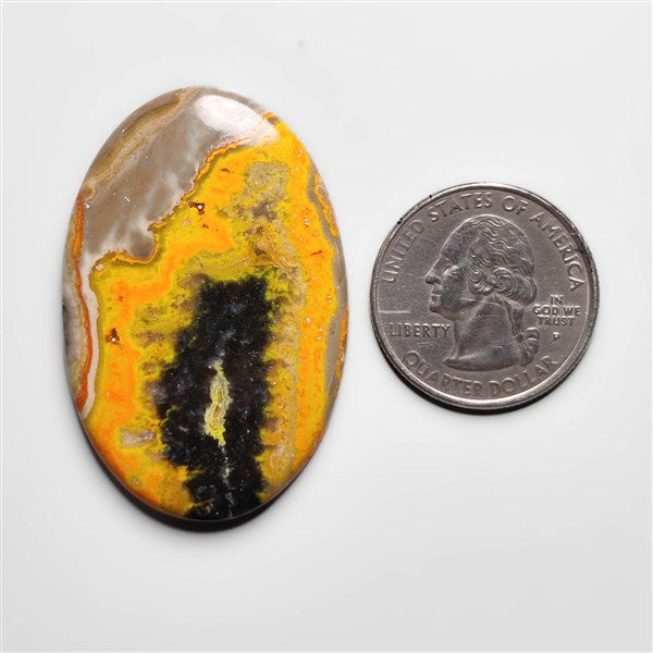 Bumble Bee Jasper