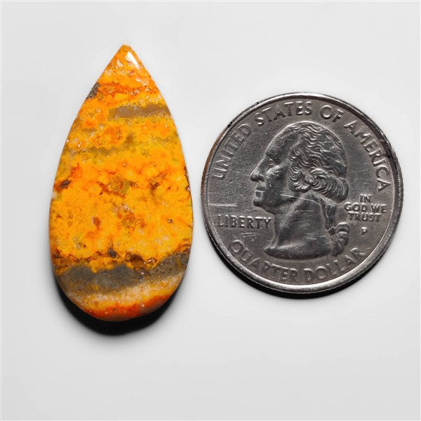 Bumble Bee Jasper