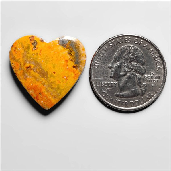 Bumble Bee Jasper