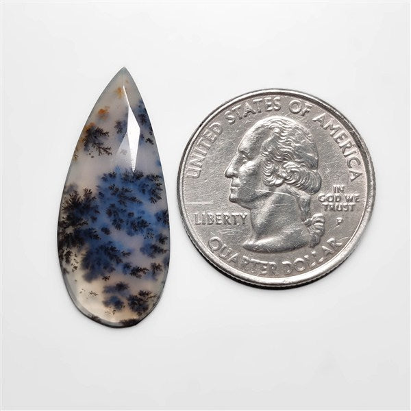 Dendritic Agate