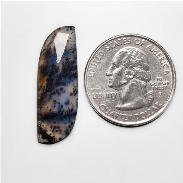 Dendritic Agate