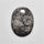 Fossil Coral