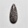 Fossil Coral