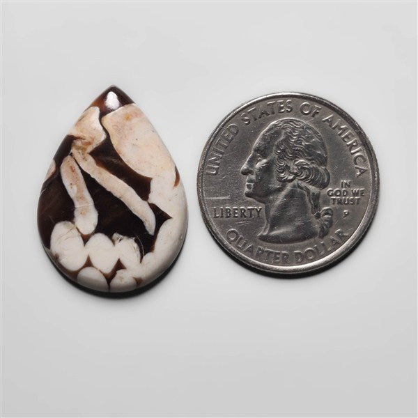 Peanut Wood Jasper