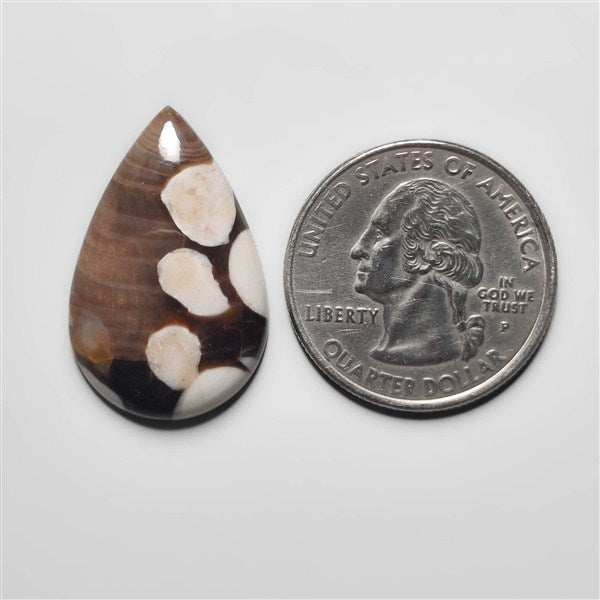 Peanut Wood Jasper