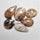 Plume Agate