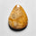 Fossil Coral