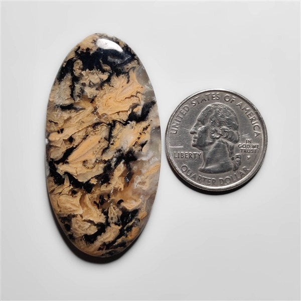 Dendritic Agate