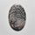 Fossil Coral