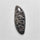 Fossil Coral
