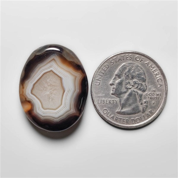 Tuxedo Agate