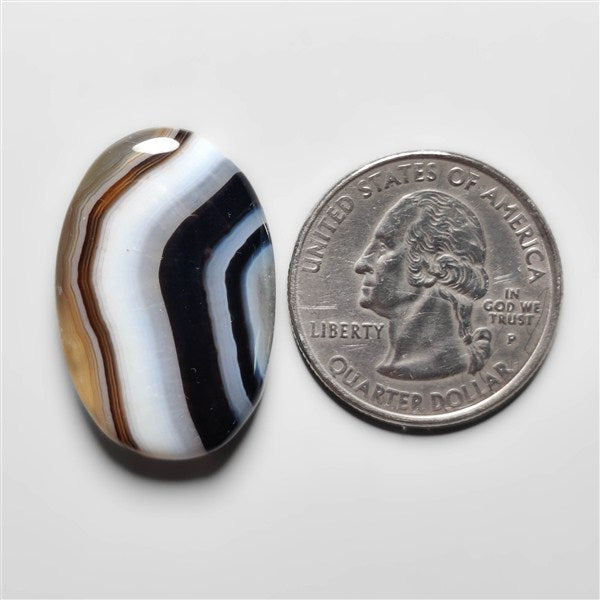 Tuxedo Agate