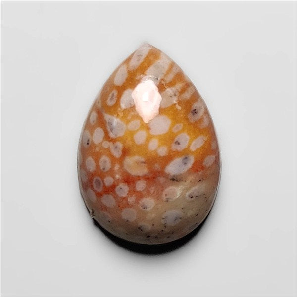Deer Fawn Jasper Cabochon