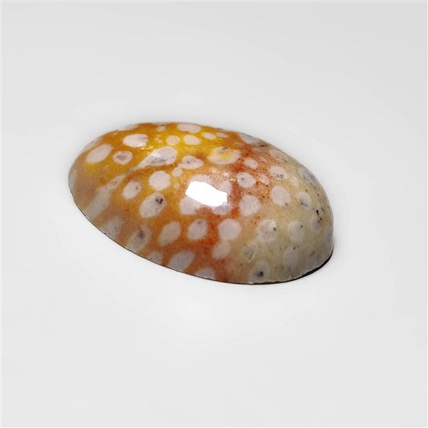 Deer Fawn Jasper Cabochon
