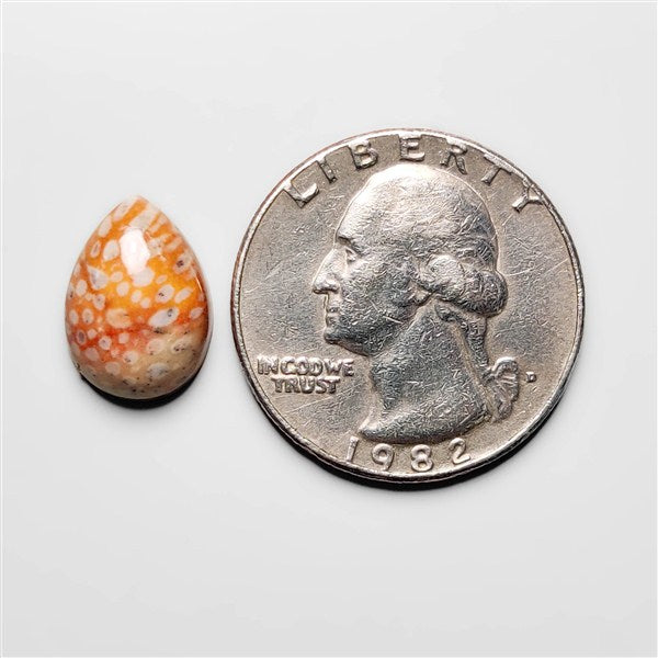 Deer Fawn Jasper Cabochon