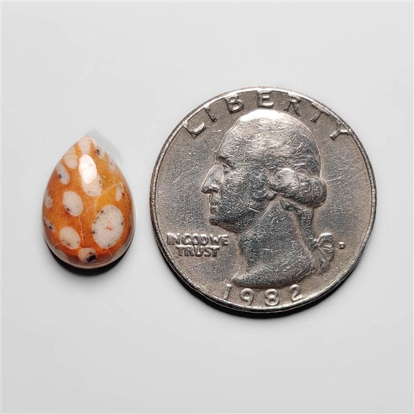 Deer Fawn Jasper Cabochon
