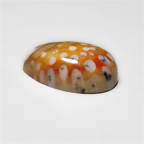 Deer Fawn Jasper Cabochon