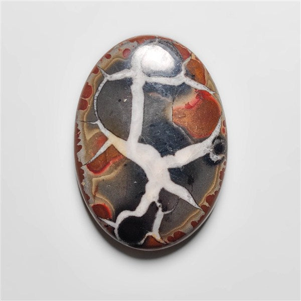 Septarian